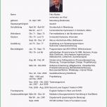 Außergewöhnlich Lebenslauf Schüler Vorlage Word – Kebut