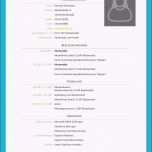 Außergewöhnlich Lebenslauf Vorlage Modern Kostenloser Download