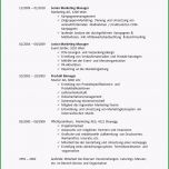 Außergewöhnlich Lebenslaufvorlagen 2018 Zum Download Lebenslauf