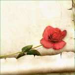 Außergewöhnlich Liebesbriefe Vorlagen Für Deinen Liebesbrief