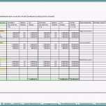 Außergewöhnlich Liquiditätsplanung Excel Vorlage Kostenlos Gut Fahrtenbuch