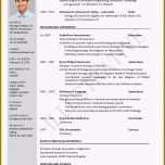 Außergewöhnlich Positiv Cv In Englisch Muster Lebenslauf Englisch Vorlage