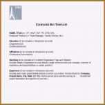 Außergewöhnlich Pressemitteilung Vorlage