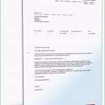 Außergewöhnlich Referenzschreiben Empfehlungsschreiben Englisch Deutsch