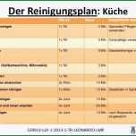 Außergewöhnlich Reinigungsplan Muster Gastronomie 1 4 Reinigungsplan