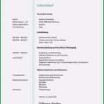 Außergewöhnlich Schüler Lebenslauf Vorlage Schön 12 Lebenslauf Schreiben