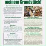 Außergewöhnlich Spendenbescheinigung Vorlage Finanzamt Schönste