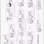 Außergewöhnlich Stammbaum Daf Daz Pinterest