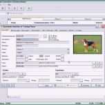 Außergewöhnlich Stammbaum Vorlage Excel