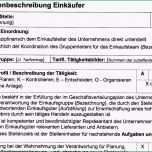 Außergewöhnlich Stellenbeschreibung Vorlage Word Luxus Stellenbeschreibung