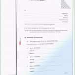 Außergewöhnlich Testament Kostenlose Vorlage Wunderbar Lebenslauf