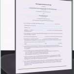 Außergewöhnlich Unglaubliche O2 Vertrag Kündigen Vorlage