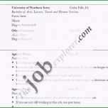 Außergewöhnlich Vorlage Visitenkarte Word Das Beste Von Lebenslauf Layout