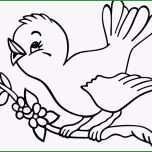 Außergewöhnlich Vorlage Vogel Zum Ausdrucken 663×513