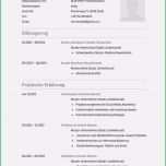 Ausgezeichnet 13 Bewerbungsschreiben Muster 2016