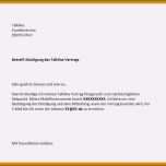 Ausgezeichnet 13 Kündigungsschreiben Vorlage Verein