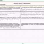 Ausgezeichnet 13 Pflegeplanung Muster