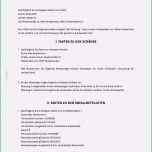 Ausgezeichnet 13 Unfallbericht Muster