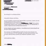 Ausgezeichnet 13 Vorlage Bewerbung Fsj