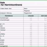 Ausgezeichnet 14 Reinigungsplan Vorlage Kostenlos