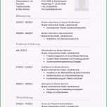 Ausgezeichnet 14 Tabellarischer Lebenslauf Akademiker Muster