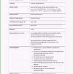 Ausgezeichnet 15 Kündigung 450 Euro Job Muster