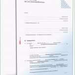 Ausgezeichnet 15 Vorlage Leihvertrag