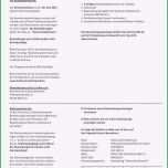 Ausgezeichnet 17 Ausführlicher Lebenslauf Muster Pdf