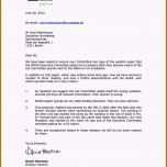 Ausgezeichnet 17 Vorlage Offizieller Brief