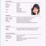 Ausgezeichnet 18 Hobbys Im Lebenslauf Beispiele