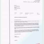 Ausgezeichnet 19 Personalfragebogen Muster