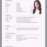 Ausgezeichnet 20 Lebenslauf Muster Für Schüler