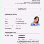 Ausgezeichnet 20 Professioneller Lebenslauf Vorlage