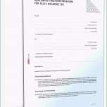 Ausgezeichnet 20 Unfallbericht Vorlage