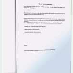 Ausgezeichnet 28 Luxus sorgerechtsverfügung Alleinerziehende Vorlage