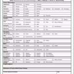 Ausgezeichnet 51 Cool Mini Mental Test Vorlage Foto