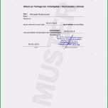 Ausgezeichnet 54 Gut Vorlage Schweigepflichtsentbindung Vorräte