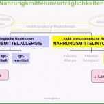 Ausgezeichnet Allergene Speisekarte Vorlage Genial Einzigartiges