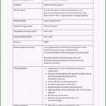 Ausgezeichnet Besten Der Stellenbeschreibung Muster Kostenlos