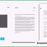 Ausgezeichnet Bewerbungsvorlage Word 4 Anpassbare Premium Designs