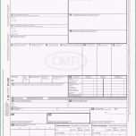 Ausgezeichnet Cmr Frachtbrief Schuhe Einebinsenweisheit