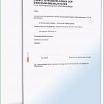 Ausgezeichnet Einwilligungserklärung Zulassung Kfz