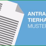 Ausgezeichnet Erlaubnis Hundehaltung Mietwohnung Vorlage