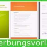 Ausgezeichnet Eu Lebenslauf Zum Download Mit Anschreiben In Ms Word