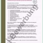 Ausgezeichnet Firmenvorstellung Email Vorlage Wunderbare Zufriedene