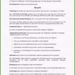 Ausgezeichnet Frisches Arbeitszeugnis formulierungen Muster