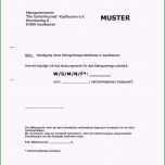 Ausgezeichnet Haftpflichtversicherung Kündigen Vordruck Kostenlos