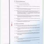 Ausgezeichnet Handelsvertretervertrag