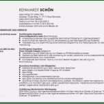 Ausgezeichnet Handgeschriebener Lebenslauf Vorlage Erstaunlich Gallery