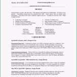 Ausgezeichnet Hervorragend Lebenslauf Template Word 2010